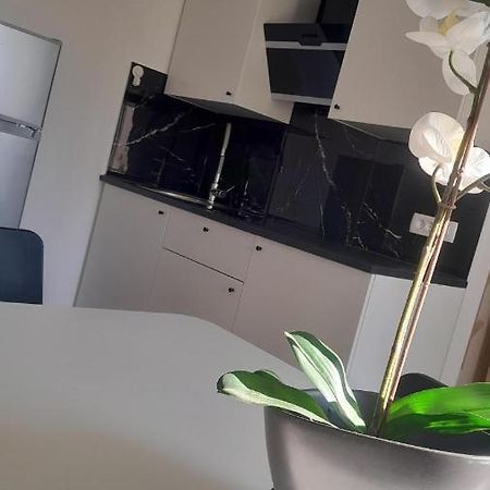 Apartma Ana Koper Dış mekan fotoğraf