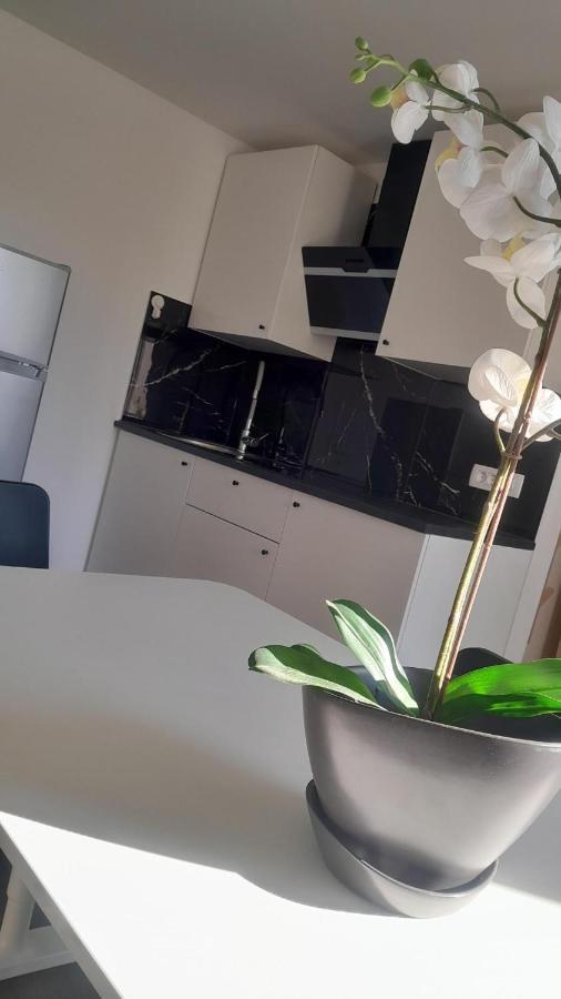 Apartma Ana Koper Dış mekan fotoğraf